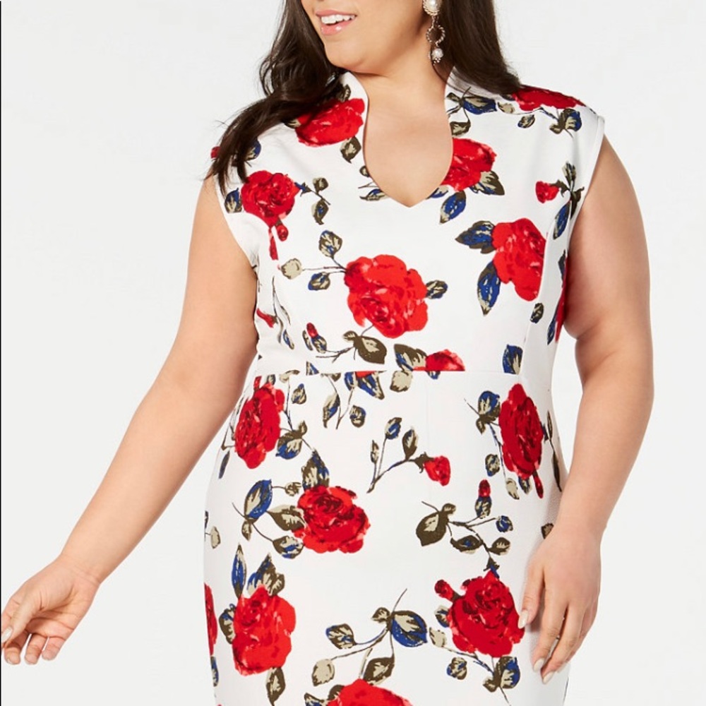 Roses are Red!